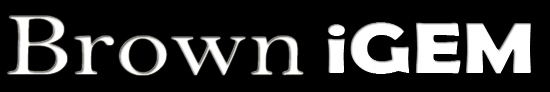 Brown logo.png