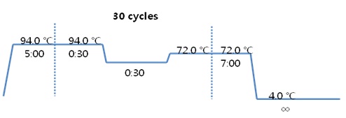 PCR cycle.jpg