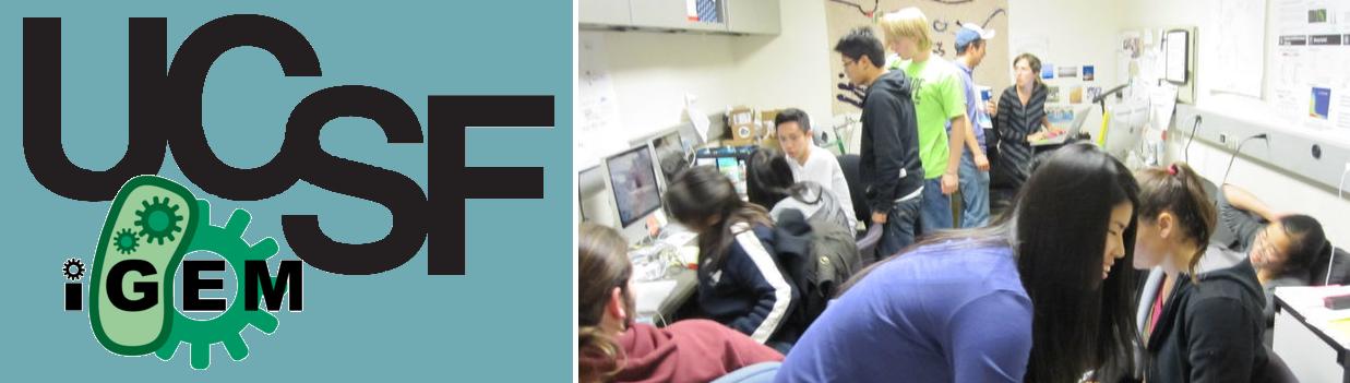 The Cave: The Hub of UCSF's iGEM team
