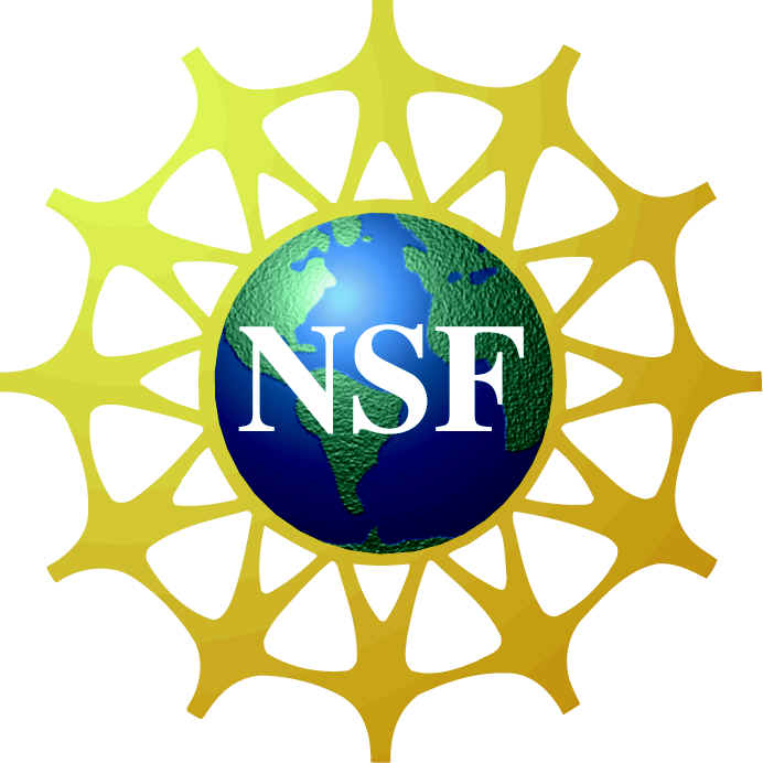 NSF logo.jpg