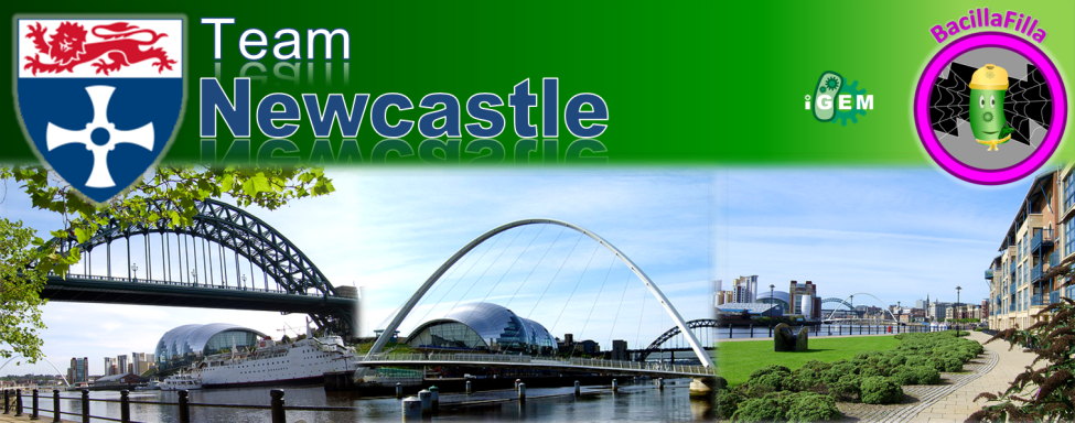 Newcastle Banner2.png