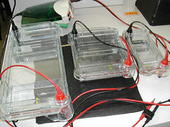 Instruments for electrophoresis