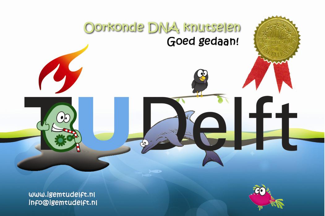 TU Delft Workshop certificate.jpg