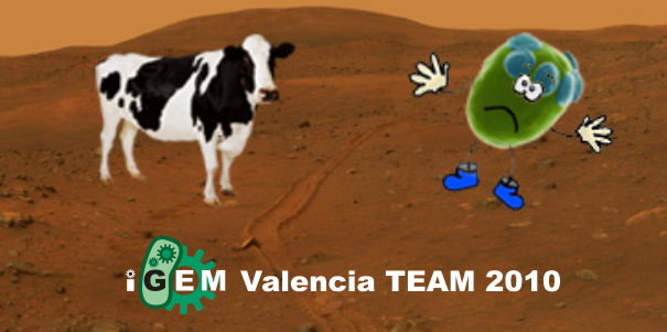 IGEM Valencia team 2010 project