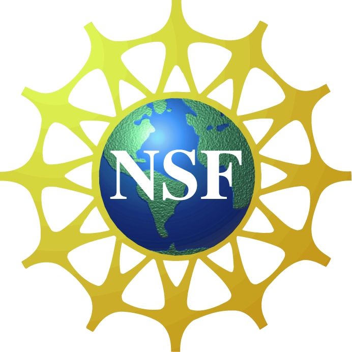 NSF Logo 600x600.jpg
