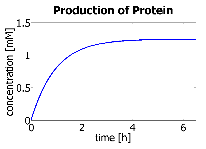 IC Protein production.jpg