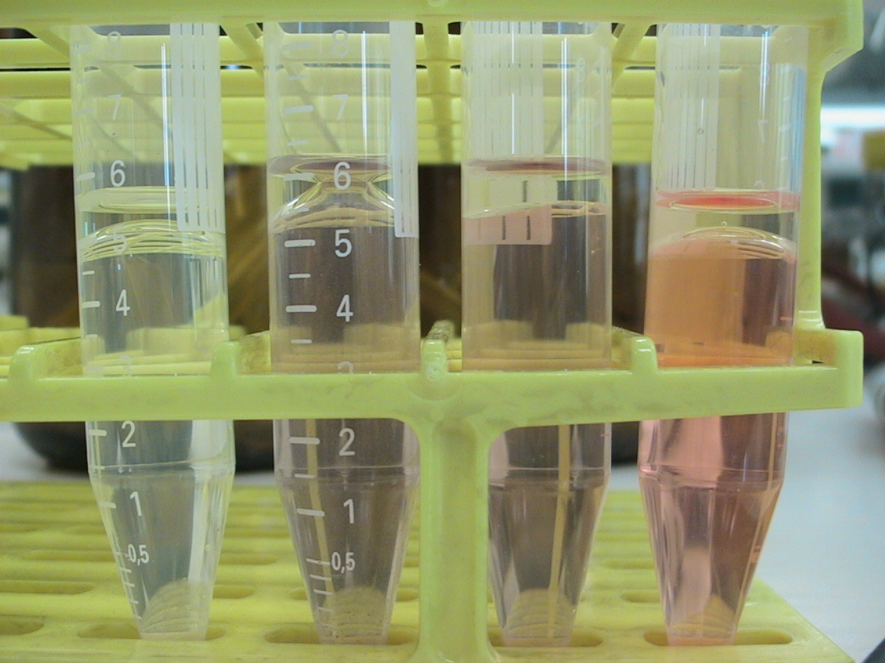 Left to right: Water and oil; Water, oil, Congo Red staining and AssembledChaplins; Water, oil, Congo Red staining and monomeric chaplins; Water, oil and Congo Red staining.