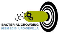 UPO-Sevilla logo.png