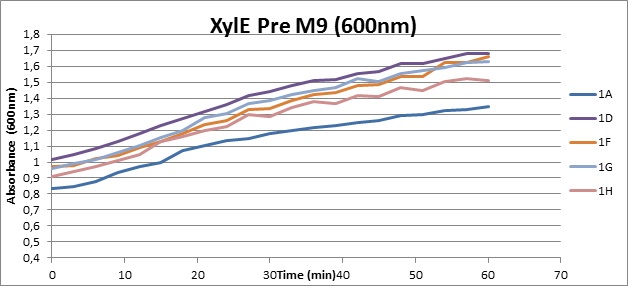 XylE Pre M9 (600).jpg