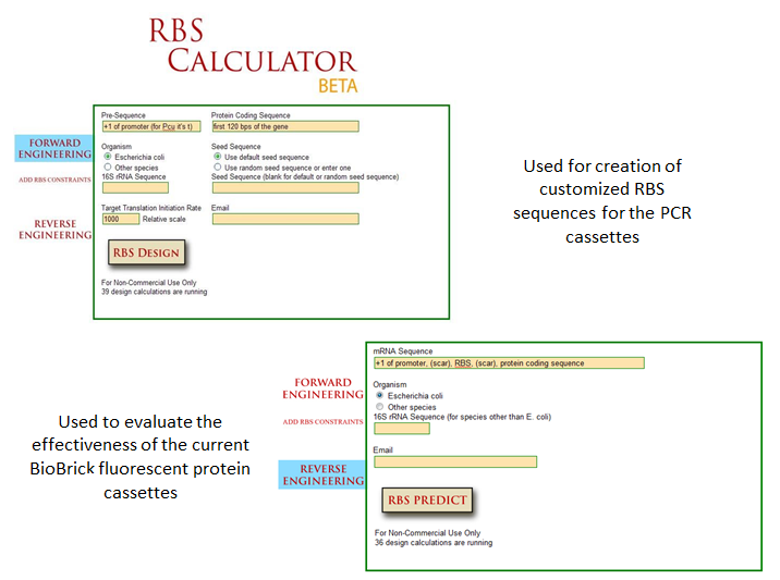 RBS Calculator.png