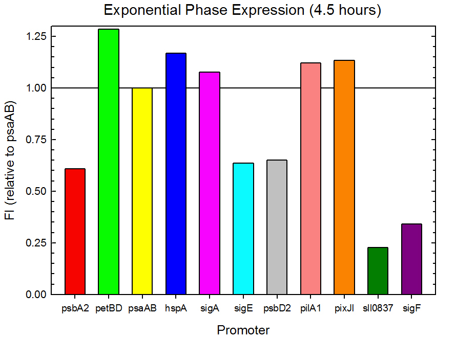 USU Exponential Phase.JPG