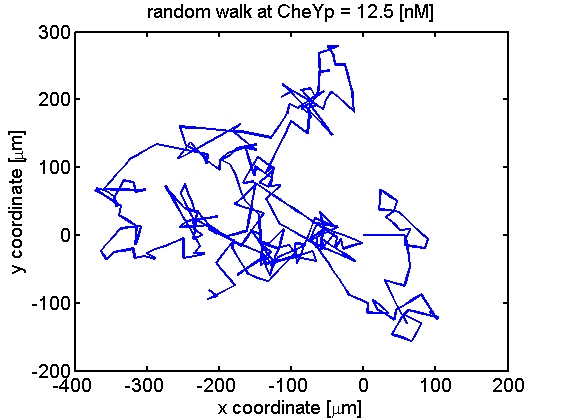 A random walk at CheYp = 12.5 [nM].