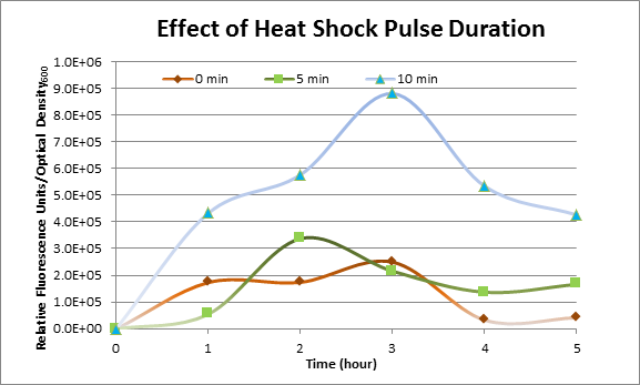 Effect of Heat Shock Pulse Duration.png