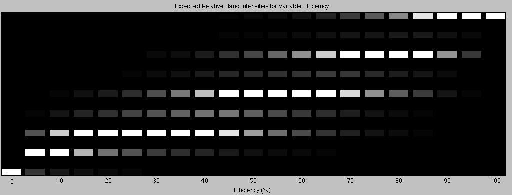 Band intensities predicted by model.