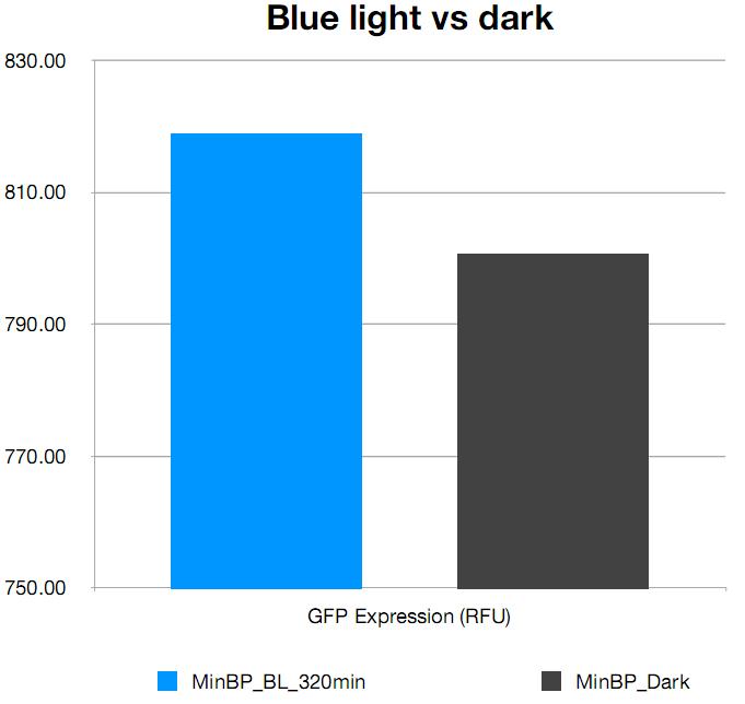 Bluepromoter light vs dark.jpg