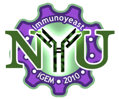 NYU logo.png