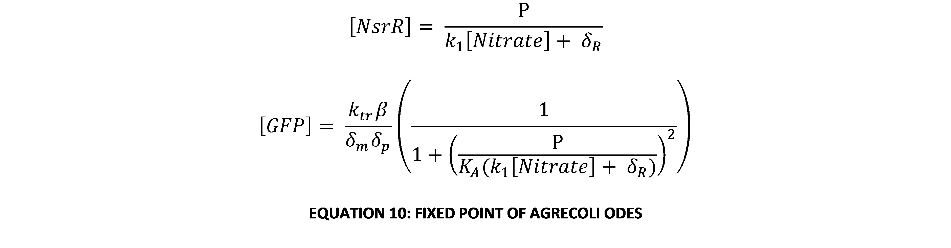 BCCS-Bristol GRN equation 10