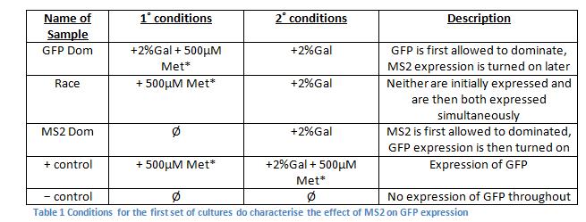 File:Conditions for FACS analysis of MS2vsGFP.jpg