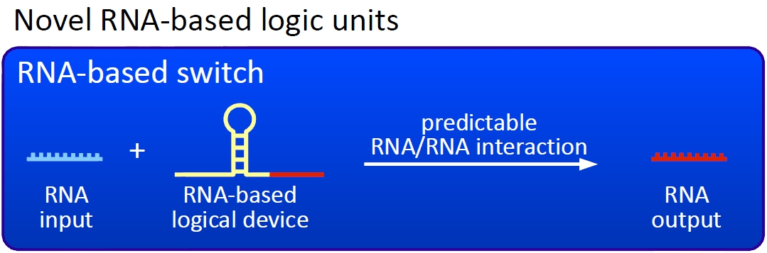 novel switches based on RNA-RNA interaction