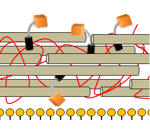 Picture2Cell wall with detection module.png