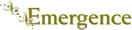 Emergence logo 30h.jpg