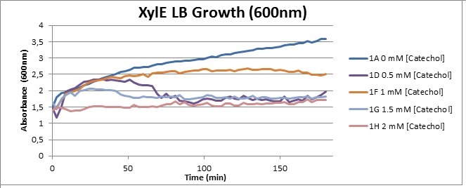 XylE LB Growth (600) 2.jpg