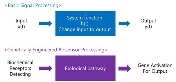 Biosensor Processing