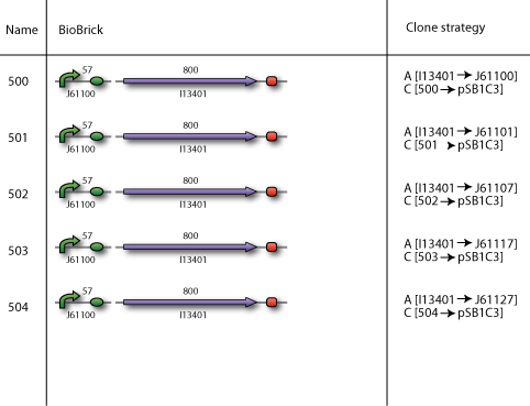 TU Delft BioBrick-formation-RBS-characterization.png
