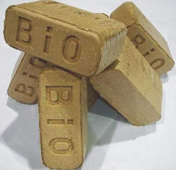 Bio bricks.jpg