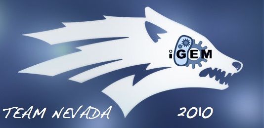 Nevada logo.png