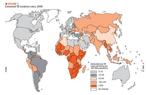 Estimated TB incidence rates.jpg
