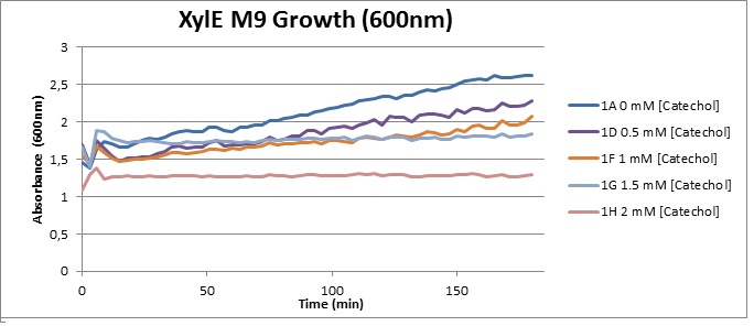 XylE M9 Growth (600).jpg