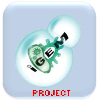 BCCS Project button3.JPG