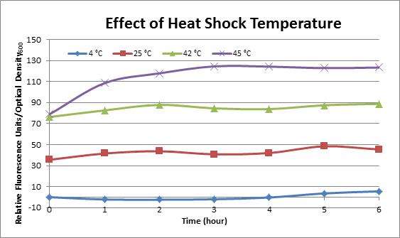 Effect of Heat Shock Temperature.png